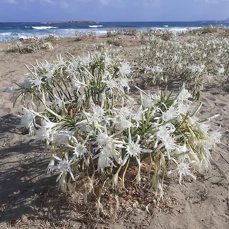 Apartamento House Escape