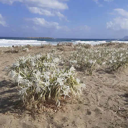 Apartamento House Escape La Canea