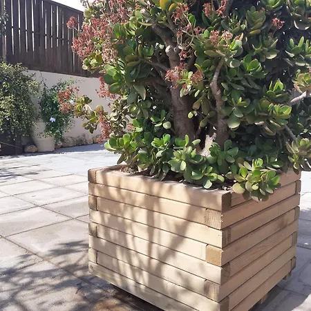 Apartamento House Escape La Canea