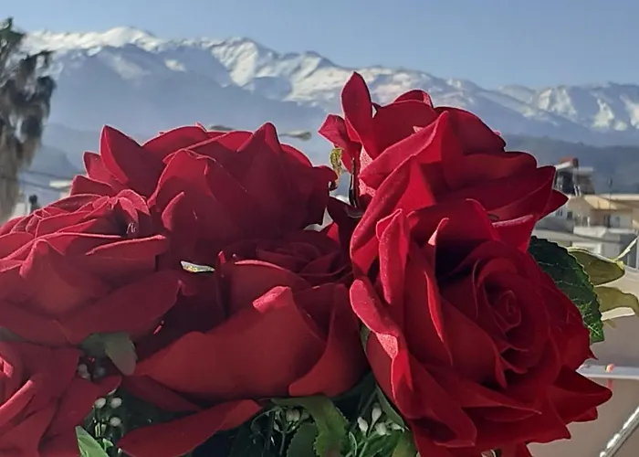 Apartamento House Escape *