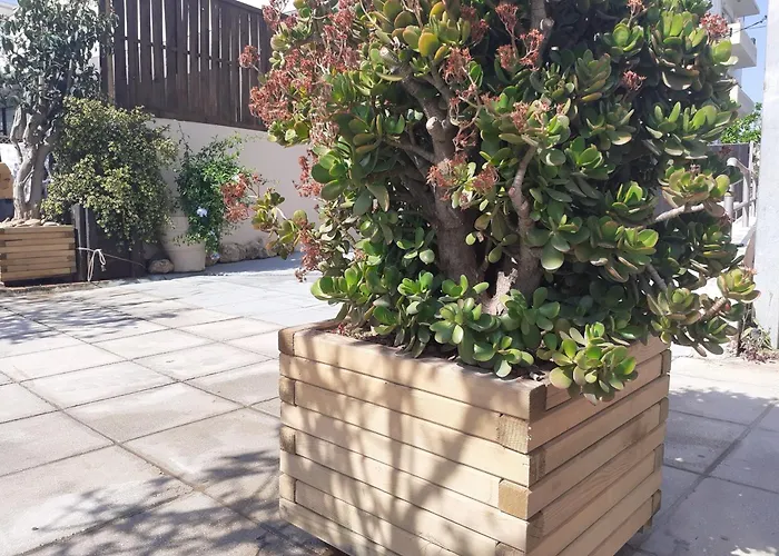 House Escape Apartamento