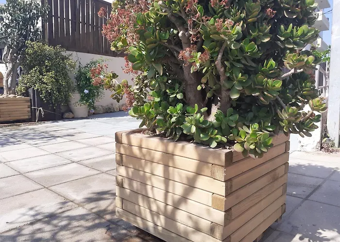 Apartamento House Escape La Canea