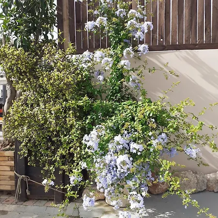 House Escape La Canea