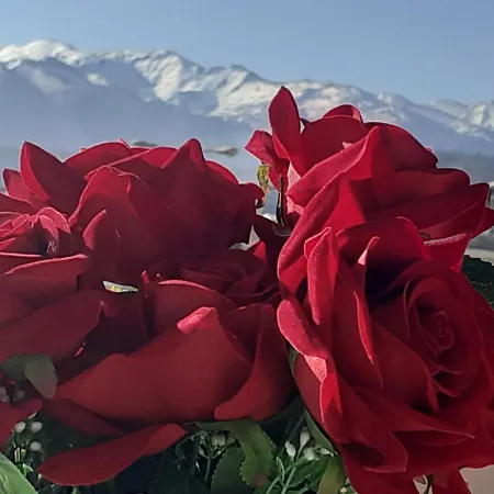 아파트 House Escape *