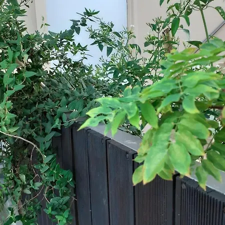 House Escape * Chania (Crete)