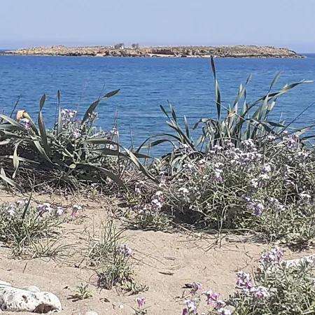 House Escape Chania (Crete)