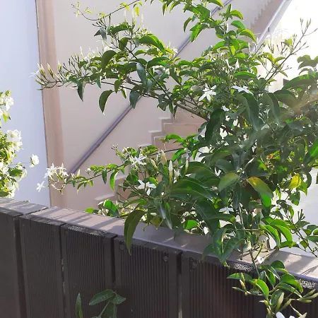 Apartamento House Escape La Canea