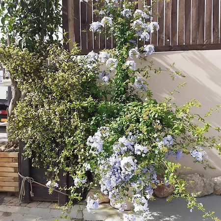 Апартаменти House Escape