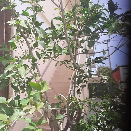 House Escape Апартаменти *