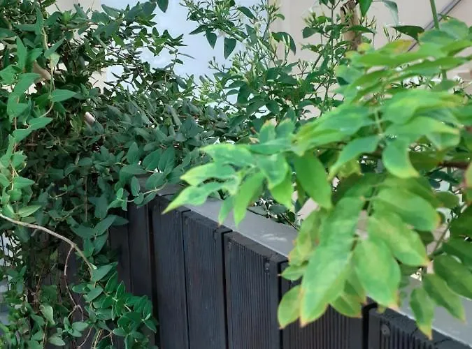 House Escape * La Canea