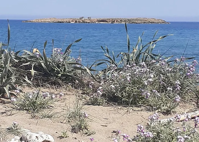 House Escape La Canea