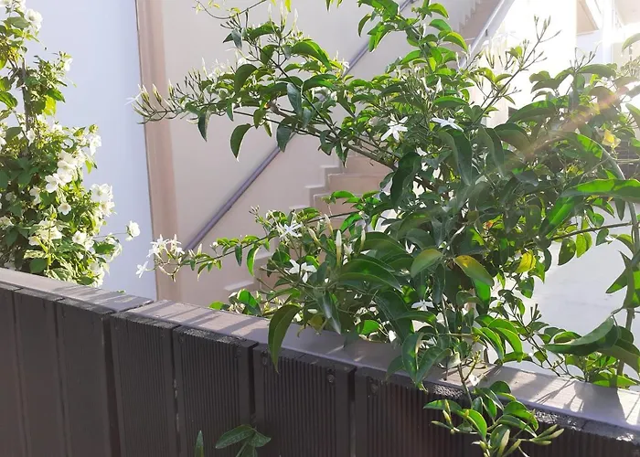 Appartamento House Escape La Canea