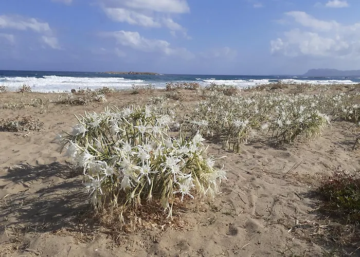 Διαμέρισμα House Escape Χανιά