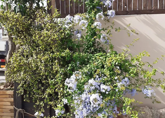 Appartamento House Escape