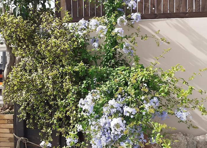 House Escape La Canea